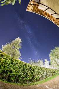 Low angle view of trees against clear blue sky