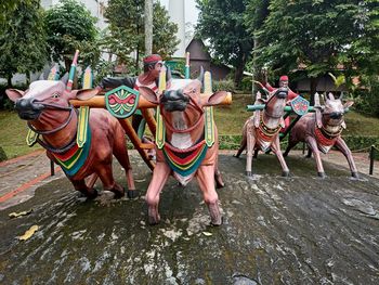 View of horse cart