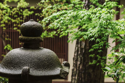 Close-up of sculpture in garden