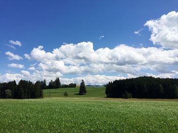 Scenic view of grassy field against cloudy sky