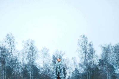 Low angle view of bare trees against sky