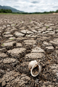 Surface level of dirt road on field