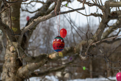 Close-up of christmas decoration hanging on tree during winter