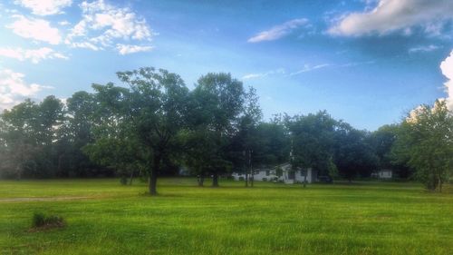 Scenic view of grassy field against cloudy sky