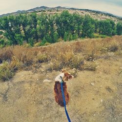 Woman standing on mountain against sky