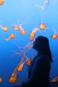 Side view of woman by jellyfish swimming in tank at monterey bay aquarium