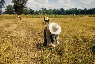 Rear view of people working in farm