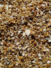 Full frame shot of stones