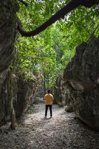 Man wearing yellow shirt standing at paku maze rock garden landscape