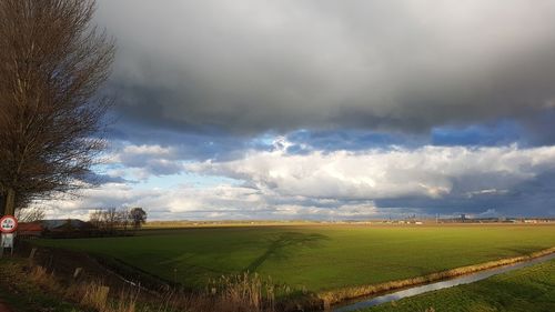 Scenic view of agricultural field against sky