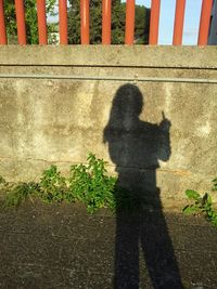 shadow