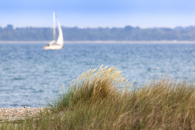 Sailboat on sea shore against sky