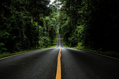 Road amidst trees in forest