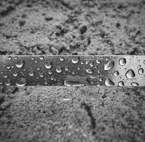 Close-up of water drops on leaf