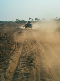 Man on ox cart with dust against sky