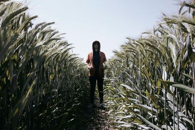 Man wearing hooded shirt while standing amidst cereal plant against sky at farm