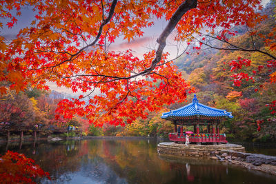 Scenic view of lake in forest during autumn