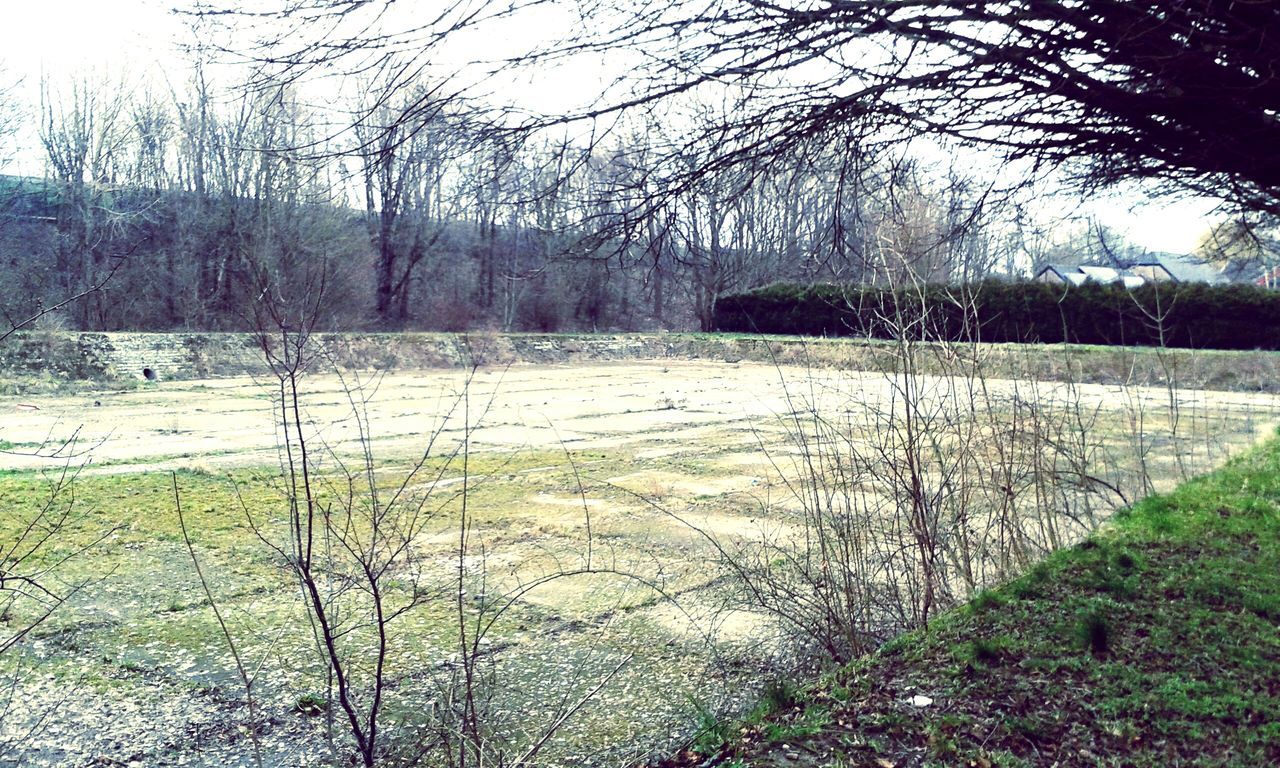 bare tree, tranquility, tree, tranquil scene, grass, nature, field, scenics, beauty in nature, growth, landscape, plant, branch, sky, non-urban scene, water, tree trunk, sunlight, day, fence