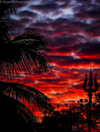 Silhouette trees against sky at night