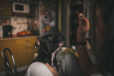 Midsection of woman with dog at home