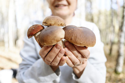Hands of senior woman showing porcini mushrooms
