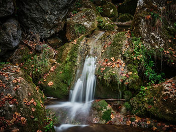 Scenic view of waterfall in forest