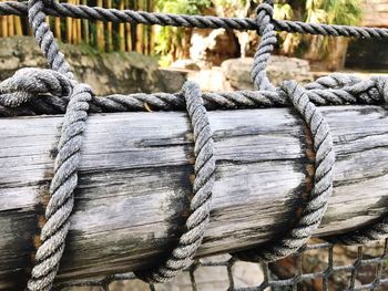 Close-up of rope tied to log