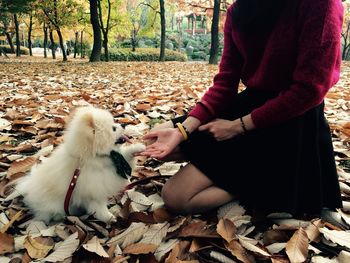 Close-up of woman with dog sitting on autumn leaves