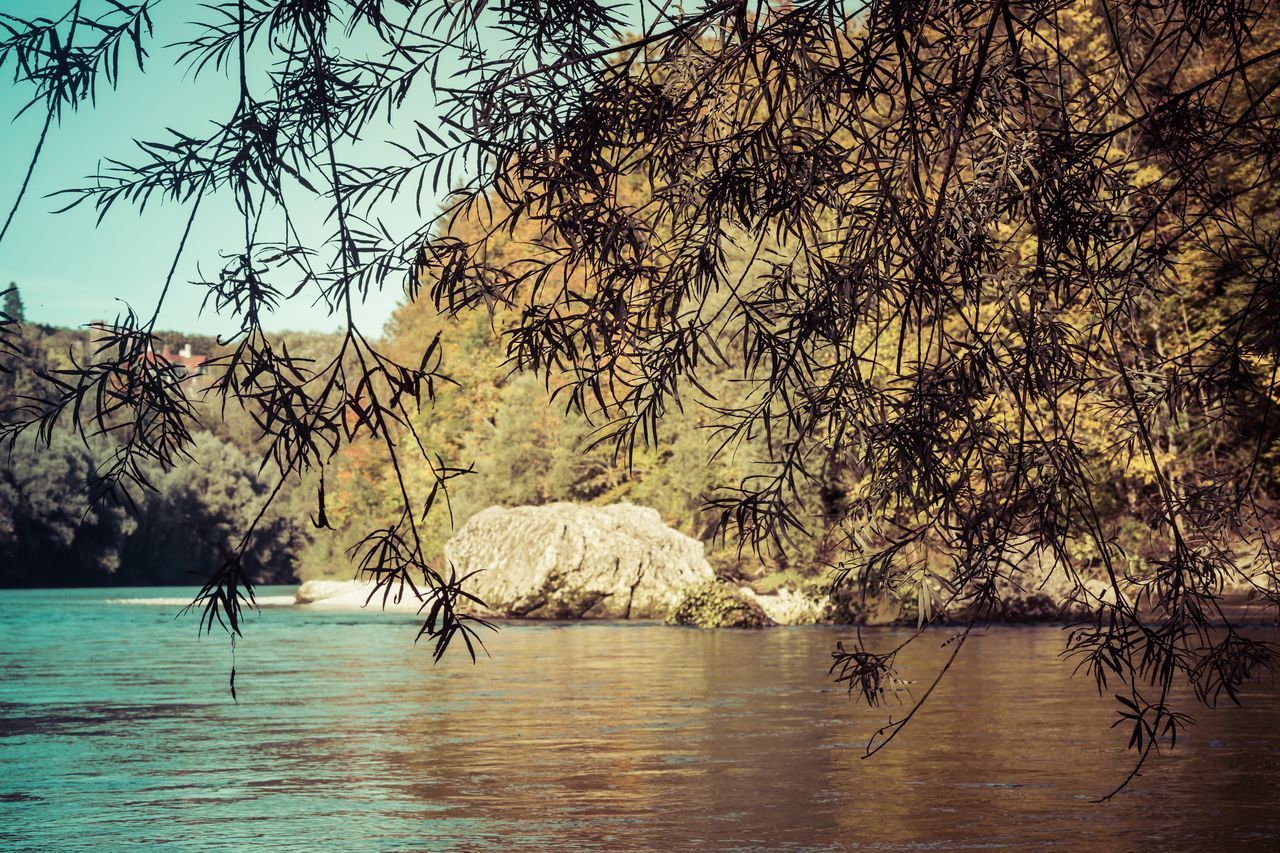 VIEW OF LAKE WITH TREES IN BACKGROUND