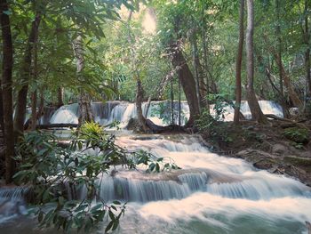 Scenic view of waterfall in forest