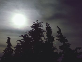 Low angle view of trees against sky