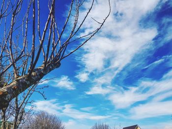 Low angle view of bare tree against blue sky