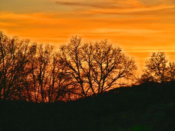 Silhouette bare trees against sky during sunset