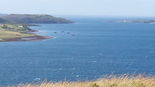 Scenic view of sea against clear sky