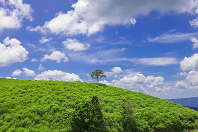 Scenic view of land against sky