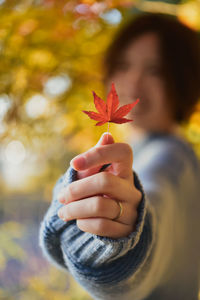 Cropped hand holding flower