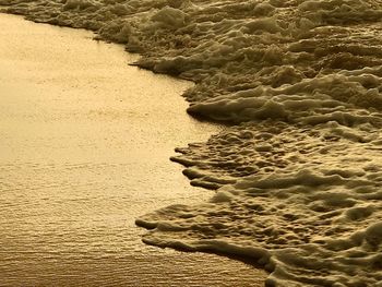 Sand dune on beach