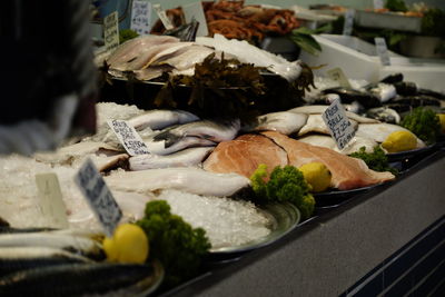 Close-up of fish in plate