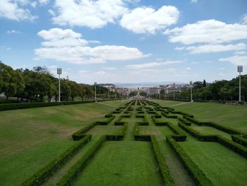 Scenic view of grassy field against sky