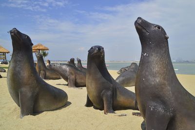 Sea lion replica at the beach