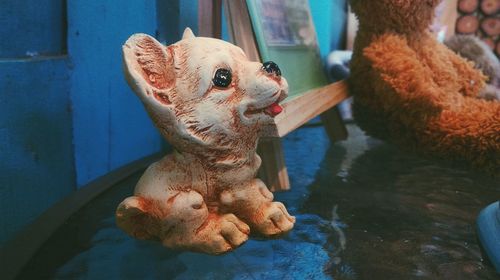 Close-up of stuffed toy