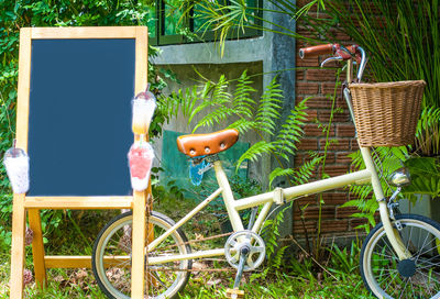 View of bicycle in basket