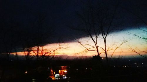 Silhouette of bare trees at night