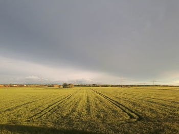 Scenic view of agricultural field against dark sky