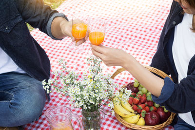 Midsection of friends toasting drinks while sitting on picnic blanket at park