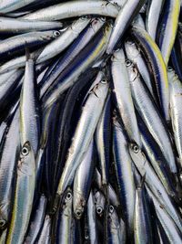 Full frame shot of fish for sale in market