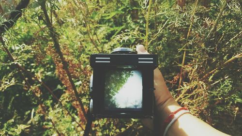 Close-up of hand holding camera by tree