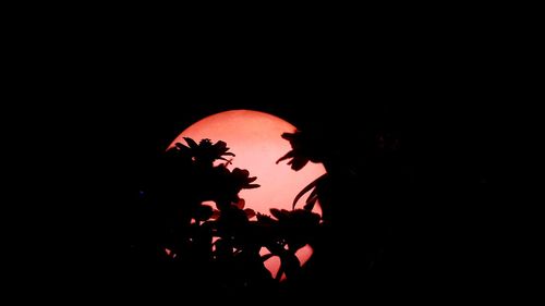 Silhouette people against illuminated orange sky