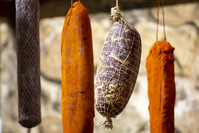 Close-up of insect hanging on market stall