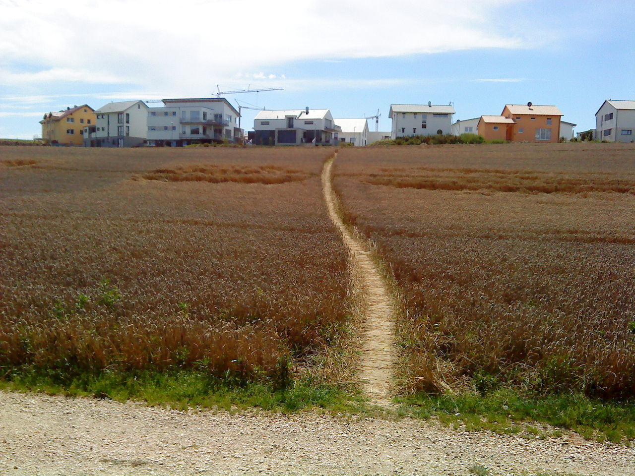 ROAD PASSING THROUGH FIELDS